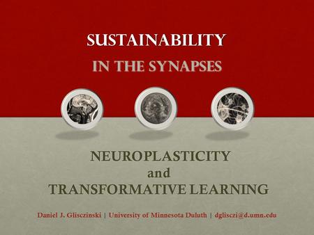 Sustainability _ in the synapses NEUROPLASTICITY and TRANSFORMATIVE LEARNING NEUROPLASTICITY and TRANSFORMATIVE LEARNING Daniel J. Glisczinski | University.