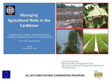 + Carlos Enrique Arce Agricultural Risk Management Team Agriculture and Rural Development Department The World Bank Strengthening the Caribbean Agri-food.