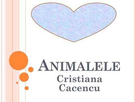 Animalele Cristiana Cacencu.