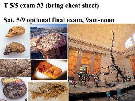 T 5/5 exam #3 (bring cheat sheet) Sat. 5/9 optional final exam, 9am-noon.