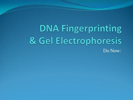 Do Now:. DNA Fingerprinting Everyone (except identical twins) has a unique DNA sequence in their cells. A technique called ________________________can.