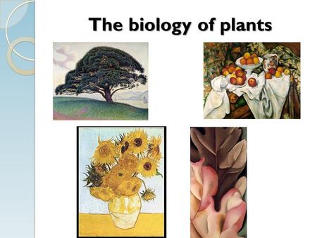 The biology of plants I. The Plant Cell PS: CO 2 + organelles H2OH2OC 6 H 12 O 6 +O2O2 Light Energy RS:C 6 H 12 O 6 +O2O2 CO 2 +H2OH2O ATP Chloroplast.