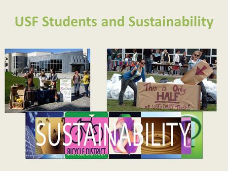 USF Students and Sustainability. Student Group 2010 The survey focused on: Demographics Climate change awareness Environmental action Environmental action.