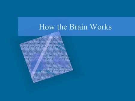 How the Brain Works Overview Ways of Studying the Brain How is the Brain Organized?