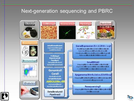 Next-generation sequencing and PBRC. Next Generation Sequencer Applications DeNovo Sequencing Resequencing, Comparative Genomics Global SNP Analysis Gene.