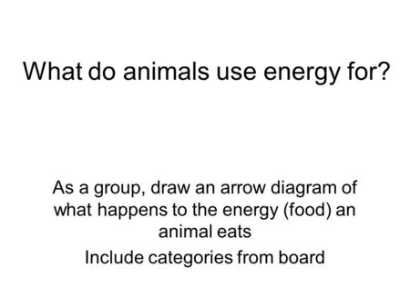 What do animals use energy for? As a group, draw an arrow diagram of what happens to the energy (food) an animal eats Include categories from board.