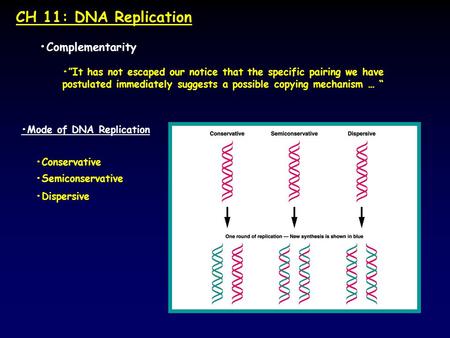 CH 11: DNA Replication Complementarity ”It has not escaped our notice that the specific pairing we have postulated immediately suggests a possible copying.