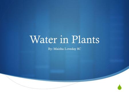  Water in Plants By: Maisha Loveday 8C. Introduction  Plants are living things that can create their own food by photosynthesis using water, chlorophyll,
