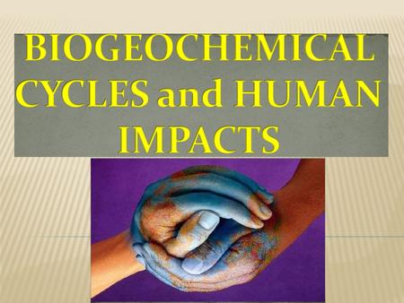 BIOGEOCHEMICAL CYCLES:  The RECYCLING of MATERIALS through living organisms and the physical environment. BIOCHEMIST: Scientists who study how LIFE WORKS.