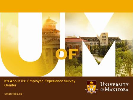 It’s About Us: Employee Experience Survey Gender umanitoba.ca.