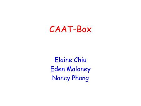 Elaine Chiu Eden Maloney Nancy Phang