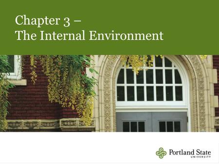 Chapter 3 – The Internal Environment