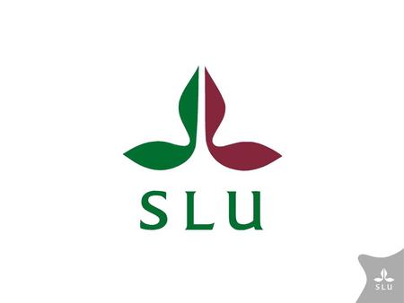New guidelines for PhD education at SLU The rules will be harmonized in order to contribute to ”one SLU” get a quality assured system with tools for planning.