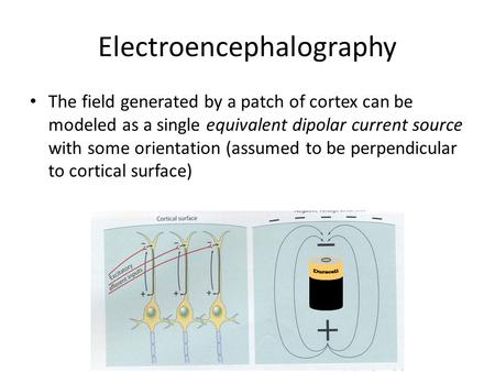 Electroencephalography The field generated by a patch of cortex can be modeled as a single equivalent dipolar current source with some orientation (assumed.