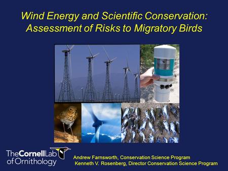 Wind Energy and Scientific Conservation: Assessment of Risks to Migratory Birds Andrew Farnsworth, Conservation Science Program Kenneth V. Rosenberg, Director.