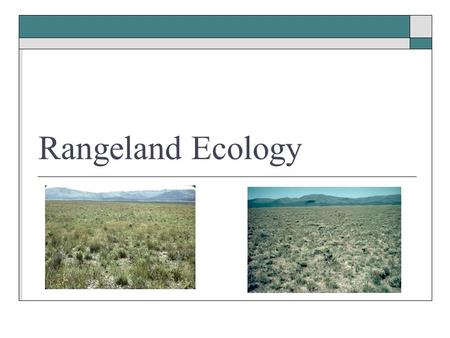 Rangeland Ecology. Hierarchy of Ecological Levels Figure from: www.goldiesroom.org www.goldiesroom.org On-line biology class.
