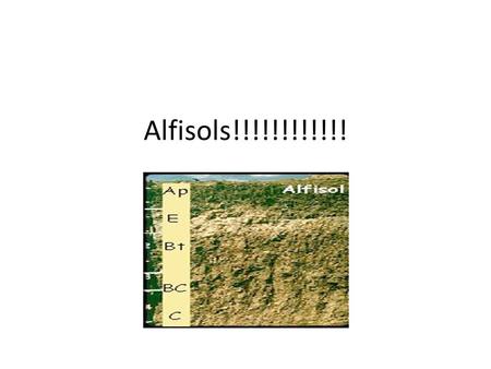 Alfisols!!!!!!!!!!!!. Develop in semiarid to moist areas Primarily forested soils They have clay and nutrient rich sub-soils that hold and supply.