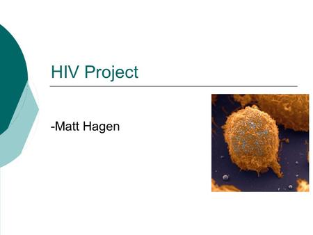 HIV Project -Matt Hagen. The Problem Are there any DNA sequences in common between HIV and human genomes? HIV-1, complete genome, chimeric clone AF033819.3HIV-1,