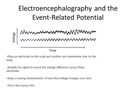 Electroencephalography and the Event-Related Potential