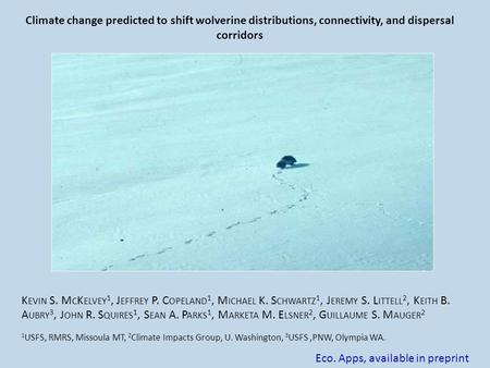 Climate change predicted to shift wolverine distributions, connectivity, and dispersal corridors K EVIN S. M C K ELVEY 1, J EFFREY P. C OPELAND 1, M ICHAEL.