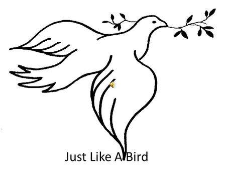 Just Like A Bird. Chorus -Just like the bird, when it found it's home, Just like the happy dove, Your house O Lord I love, Your house I love with honesty.