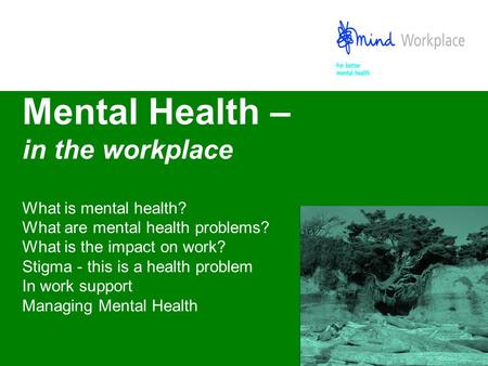 Mental Health – in the workplace What is mental health? What are mental health problems? What is the impact on work? Stigma - this is a health problem.