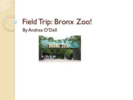 Field Trip: Bronx Zoo! By Andrea O’Dell. Wild Winterland! December 5, 2008 Reindeer, Storytelling, Ice Carving! Classic Children Fairytales Feed the Reindeer.