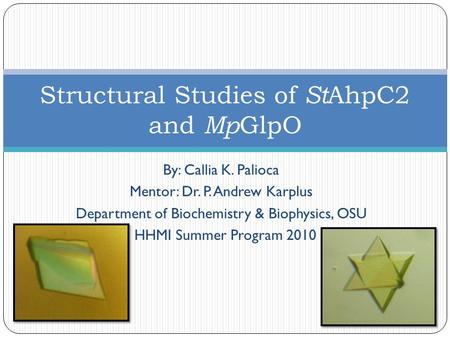 By: Callia K. Palioca Mentor: Dr. P. Andrew Karplus Department of Biochemistry & Biophysics, OSU HHMI Summer Program 2010 Structural Studies of St AhpC2.