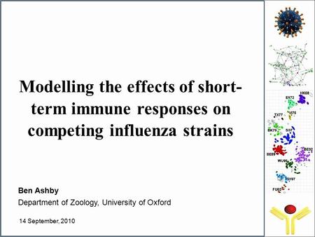 Modelling the effects of short- term immune responses on competing influenza strains Ben Ashby Department of Zoology, University of Oxford 14 September,