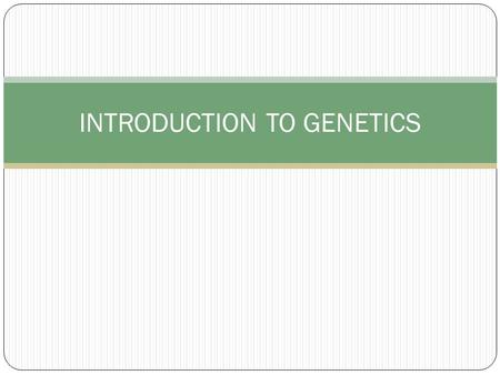 INTRODUCTION TO GENETICS. INTRO TO GENETICS FERTILIZATION: male & female reproductive cells join & produce a new cell which develops into an embryo (inside.