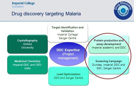 Drug discovery targeting Malaria Protein production and assay development Imperial academic and DDC Target Identification and Validation Imperial College/