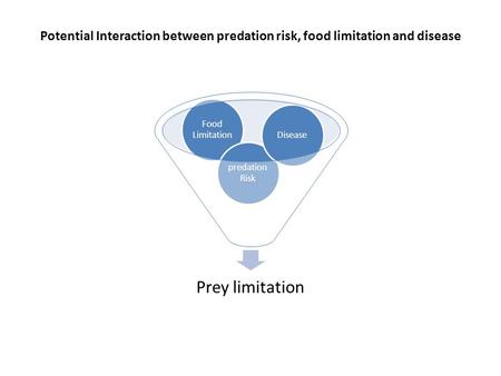 Potential Interaction between predation risk, food limitation and disease Prey limitation Food Limitation predation Risk Disease.