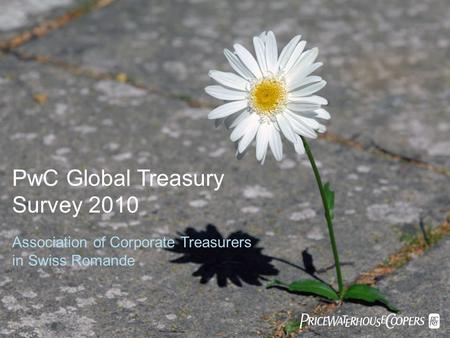 PwC Global Treasury Survey 2010 Association of Corporate Treasurers in Swiss Romande 