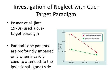 Investigation of Neglect with Cue- Target Paradigm Posner et al. (late 1970s) used a cue- target paradigm Parietal Lobe patients are profoundly impaired.