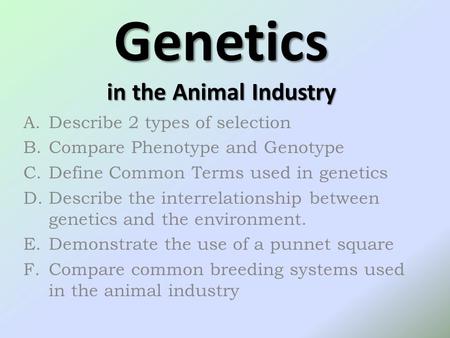 Genetics in the Animal Industry A.Describe 2 types of selection B.Compare Phenotype and Genotype C.Define Common Terms used in genetics D.Describe the.