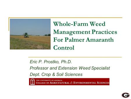 Eric P. Prostko, Ph.D. Professor and Extension Weed Specialist Dept. Crop & Soil Sciences Whole-Farm Weed Management Practices For Palmer Amaranth Control.