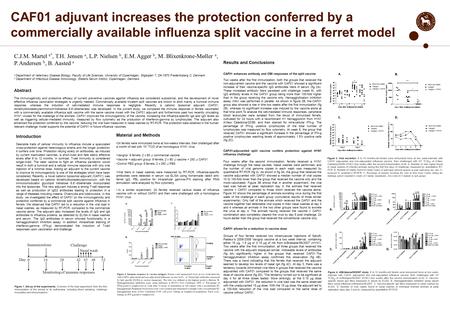 CAF01 adjuvant increases the protection conferred by a commercially available influenza split vaccine in a ferret model Introduction Desirable traits of.