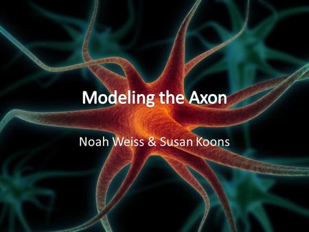 Noah Weiss & Susan Koons. Neuroscience: 3ed.