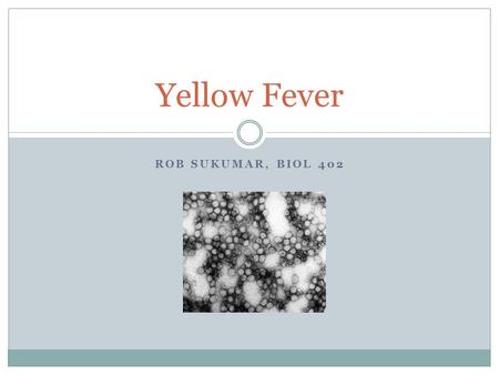 Yellow Fever Rob Sukumar, BIOL 402.