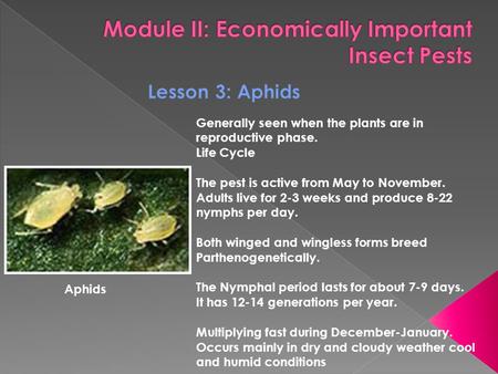 Generally seen when the plants are in reproductive phase. Life Cycle The pest is active from May to November. Adults live for 2-3 weeks and produce 8-22.
