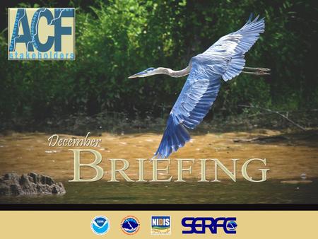 December Briefing. Outline Current Conditions Primary Factors – 2 nd Year La Nina – Drought Region / Feedback – Role of AO/NAO Streamflow Outlook – Historical.