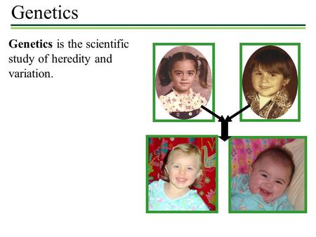 Genetics Genetics is the scientific study of heredity and variation.