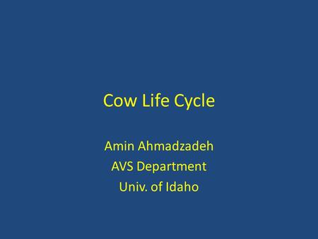 Amin Ahmadzadeh AVS Department Univ. of Idaho