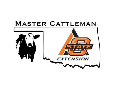 What is the OSU Master Cattleman program?