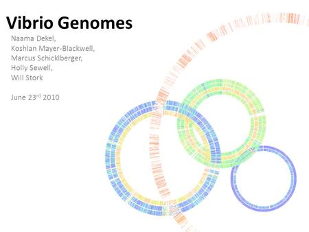 Vibrio Genomes Naama Dekel, Koshlan Mayer-Blackwell, Marcus Schicklberger, Holly Sewell, Will Stork June 23 rd 2010.