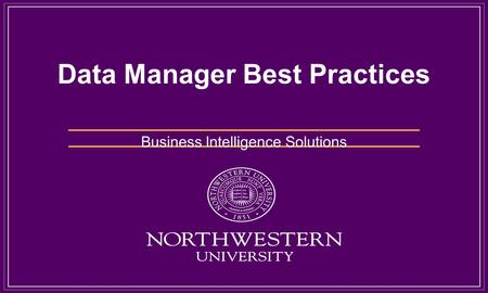 Data Manager Best Practices Business Intelligence Solutions.