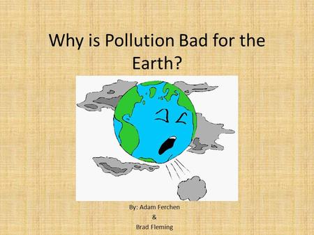 Why is Pollution Bad for the Earth?
