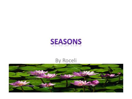 By Roceli Unit Summary Students will be able to discuss and identify season. Student will be able to discuss the types of weather associated to a season.