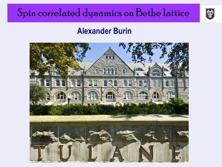 Spin correlated dynamics on Bethe lattice Alexander Burin.