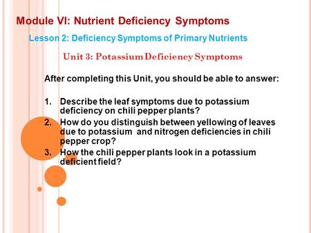 Module VI: Nutrient Deficiency Symptoms Lesson 2: Deficiency Symptoms of Primary Nutrients Unit 3: Potassium Deficiency Symptoms After completing this.
